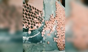 തേൻ മിട്ടായി !