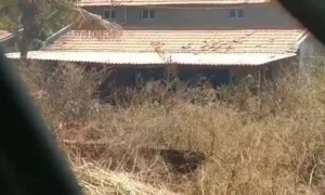 ഓടിക്കോ പോലീസ് !