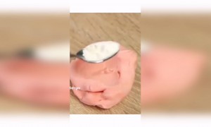 അതിമനോഹരമായ കരവിരുത് !