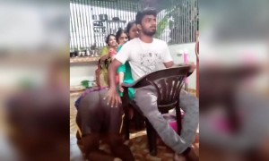 ഹോൺ പൊളിച്ചു !