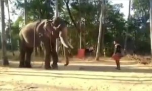 നല്ല മനോഹരമായ കാഴ്ച .