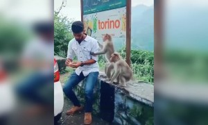 ബേജാറാവണ്ട ചങ്ങായി തരാം !!!