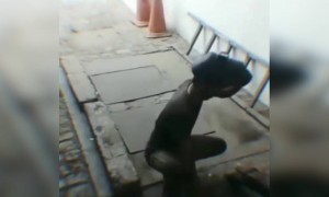 പാവം വല്ലാണ്ട് പേടിച്ചു !