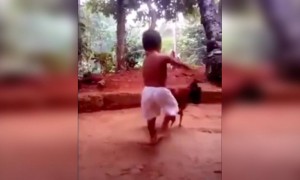 ഒന്ന് പല്ല് തേക്ക് കോഴിയെ !