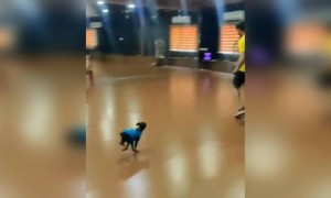 ഇതൊക്കെ രസമല്ലേ !