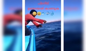 ഭീകരനാണവൻ കൊടും ഭീകരൻ !