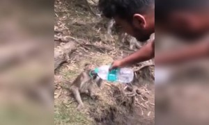 ഒരു നല്ല കാഴ്ച !