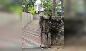 പഹയന്റെ ഐഡിയ !