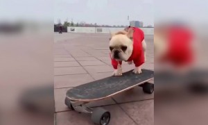 ആഹാ കൊള്ളാല്ലോ !!!..