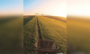 ഒരു യാത്ര പോകണം !