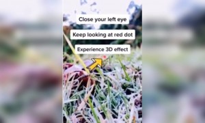 ഇത് എപ്പടി !