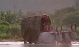 മായാനദി;കിടിലൻ ട്രോൾ വീഡിയോ !