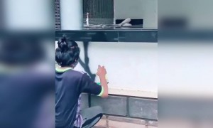 ആഹാ വെറൈറ്റി ആണല്ലോ