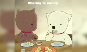 പങ്ക് വെയ്ക്കലിന്റെ മധുരം !