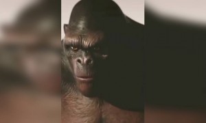 സ്നേഹത്തിന്റെ അവസാനത്തെ അർത്ഥം !