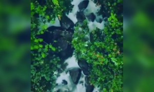 എത്ര മനോഹരം ഈ പ്രകൃതി !