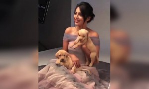 നടി ഐശ്വര്യ ലക്ഷ്മി !