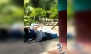 അയൽക്കാർ തമ്മിലുള്ള പൊരിഞ്ഞ അടി !!