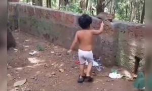 കൊറോണ ആയിട്ട് മീനൊന്നും കിട്ടൂല്ല പൂച്ചേ !!