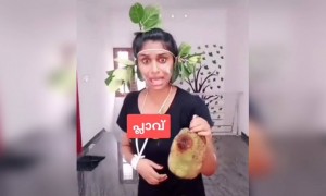 ഒരു പ്ലാവിന്റെ രോദനം