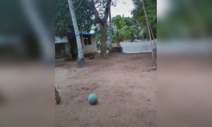 കൊള്ളാമെടാ മക്കളെ, നീ ഭയകരൻ തന്നെ !