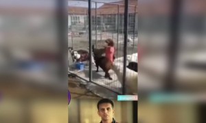 എന്തൊരു കഷ്ടമാണ് !!