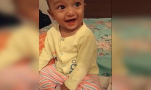 എന്നെ ശരിക്കും ഒന്ന് ശ്രദ്ധിച്ചേ !