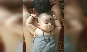 ആഹാ എന്താ ഉറക്കം !!