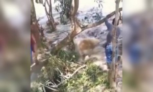 ചെക്കൻ വെള്ളത്തിൽ പോയോ എന്തോ ?