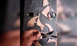 ലുട്ടാപ്പി ഫോട്ടോഗ്രഫി, അടിപൊളി !!!