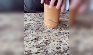 കൊള്ളാല്ലോ ഐഡിയ !!!