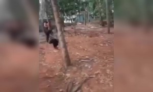 എന്തോ വലുത് വരാനിരുന്നതാ !