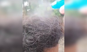 അടിപൊളി, ഇതൊക്കെയാണ് ക്രീയേറ്റിവിറ്റി !