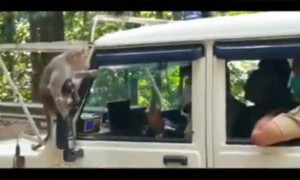 മനസ്സിനെ നൊമ്പരപ്പെടുത്തിയ ഒരു നല്ല കാഴ്ച !