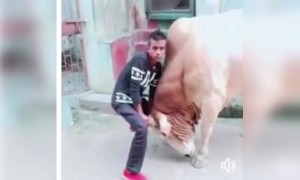 ചെറുക്കൻ ബാഹുബലി കളിച്ചതാ