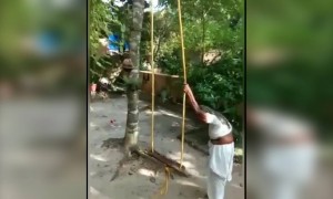 അമ്മൂമ്മ കൊള്ളാല്ലോ !