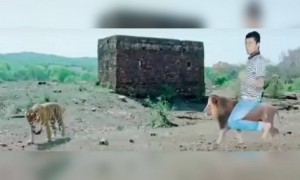 എഡിറ്റിംഗ് സിംഹമേ !!!.