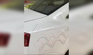 അവന്റെ കഴിവുകൾ കണ്ട് ഞാൻ ഞെട്ടി മാമാ !!