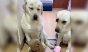 നീ എന്നെ ഒറ്റിക്കൊടുക്കും അല്ലേടാ !