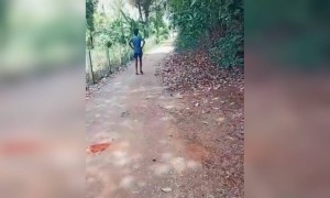 ഇപ്പൊ ലൂടോയുടെ കാലമാണല്ലോ !!