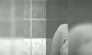 നിന്റെ അമ്മ എന്ത് പാവമാണെന്ന് അറിയാമോ !