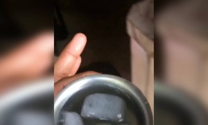 ഇങ്ങനെ ഒരു ആങ്ങളയും പെങ്ങളും !