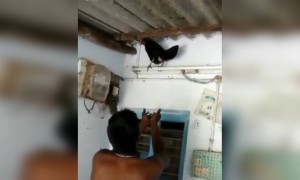 ആഹ് ക്യാച്ച് !!