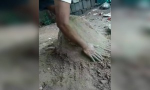 അടിപൊളി ക്രീയേറ്റിവിറ്റി; സൂപ്പർ !