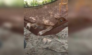 ആഹാ എന്താ സുഖം !