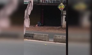 ഈ കാഴ്ച് ഒന്ന് കണ്ട് നോക്ക് !