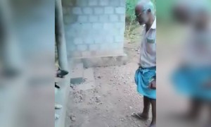 കണക്ക് അറിയാവുന്ന പട്ടിയാണ് !