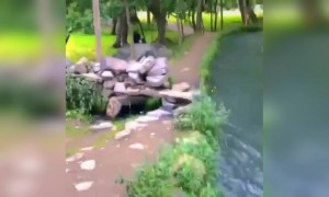 എത്ര മനോഹരമാണ് ഈ സ്ഥലം !