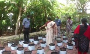 കൃഷി മാനസിക ഉല്ലാസത്തിനും ആരോഗ്യത്തിനും ഗുണപ്രദമാണ്.