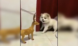 ഇങ്ങനെ പേടിക്കല്ലേടാ !!..